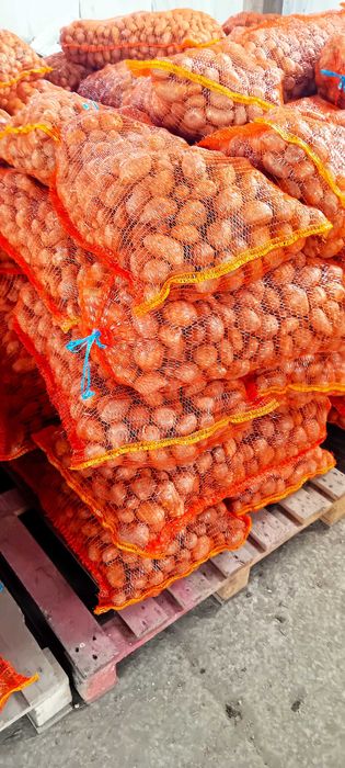 Vând cartofi consum și sămânță