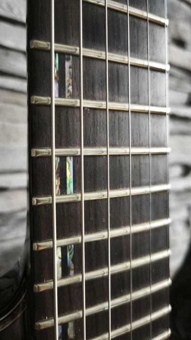 Chitara electrica ESP LTD H-1001 DeLuxe doze Fishman - Garantie