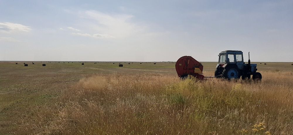 Сено рулонное, разнотравье