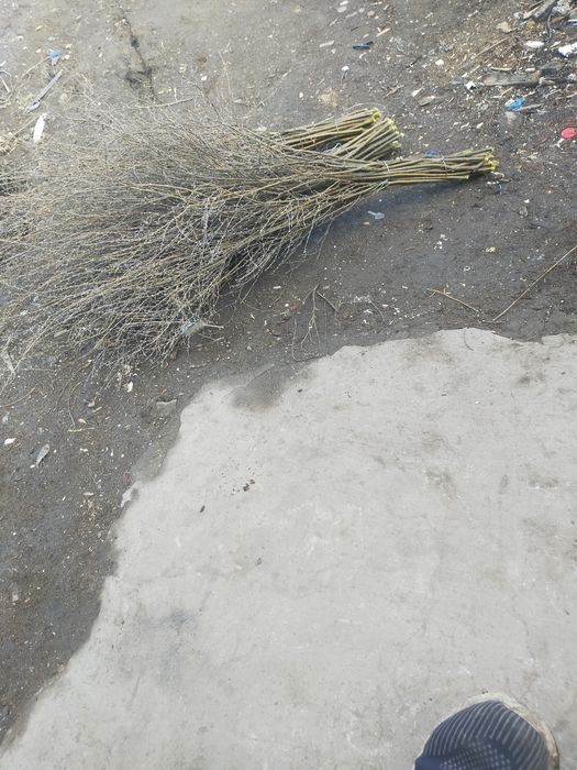 Веники самодельные