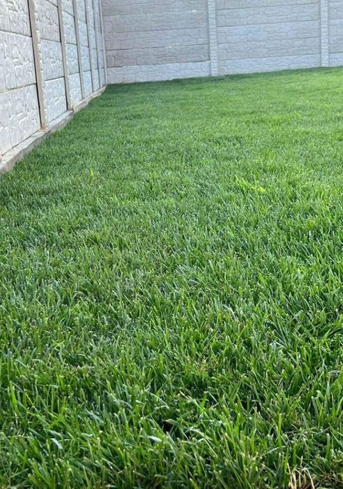 Gazon rulou sisteme de irigații