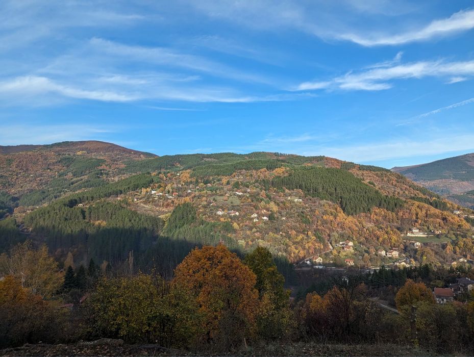 Поземлен имот с. Свидня