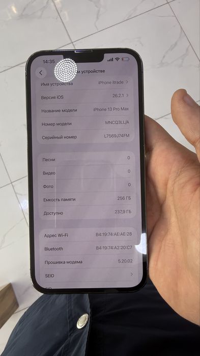 13 Pro Max 256gb