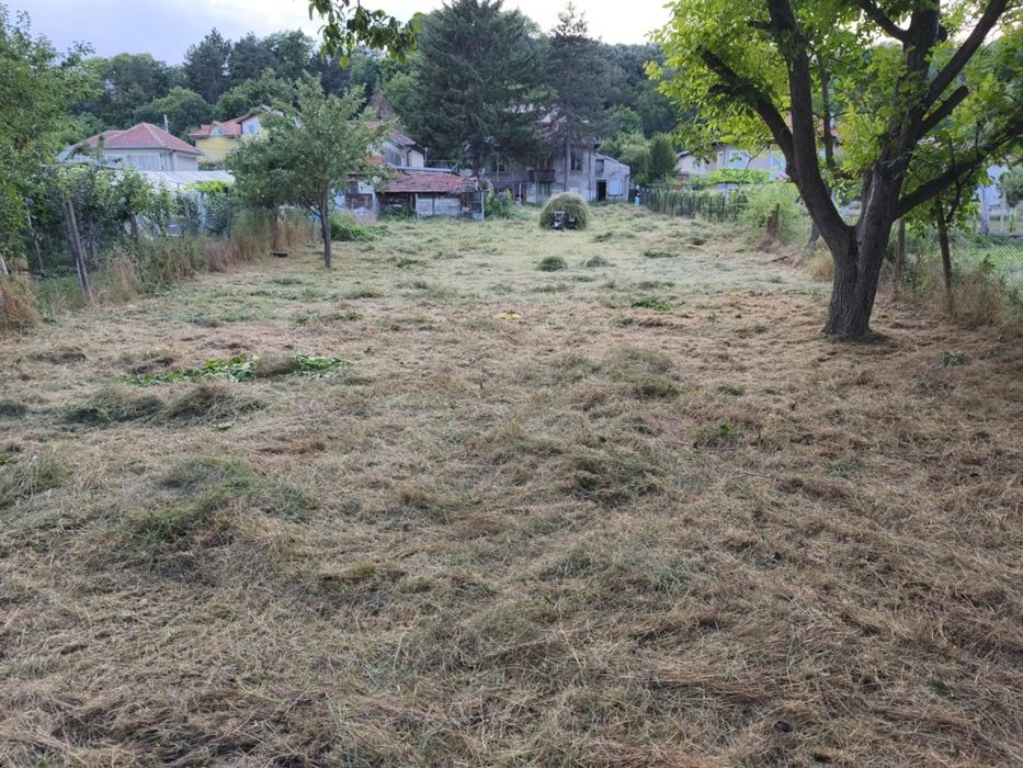 Рязане, кастрене и почистване на терени!