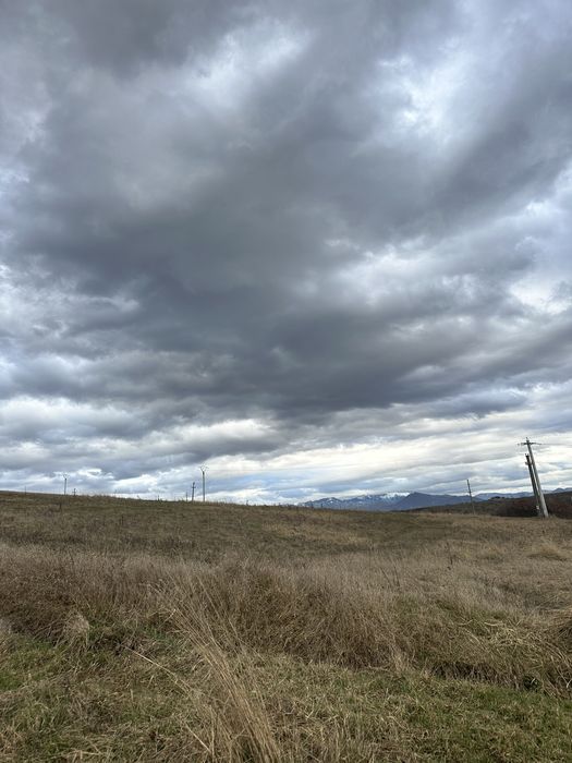 Teren intravilan Beius