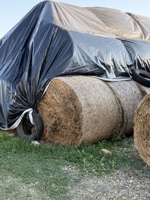 Baloti rotunzi mari lucerna