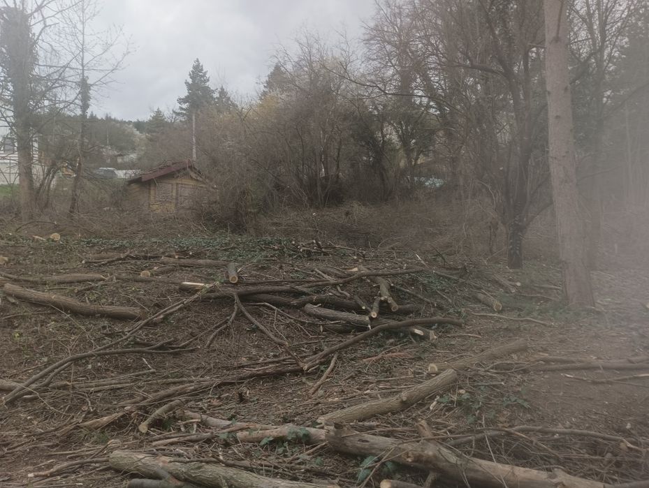 Почистване на парцели имоти дворове