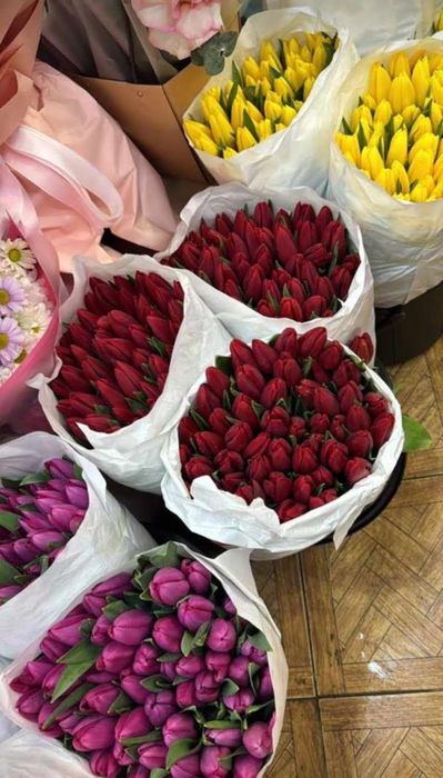Тюльпаны оптом.в городе есть склад мин от 300шт