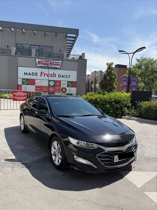 Malibu 2 Premier 2022