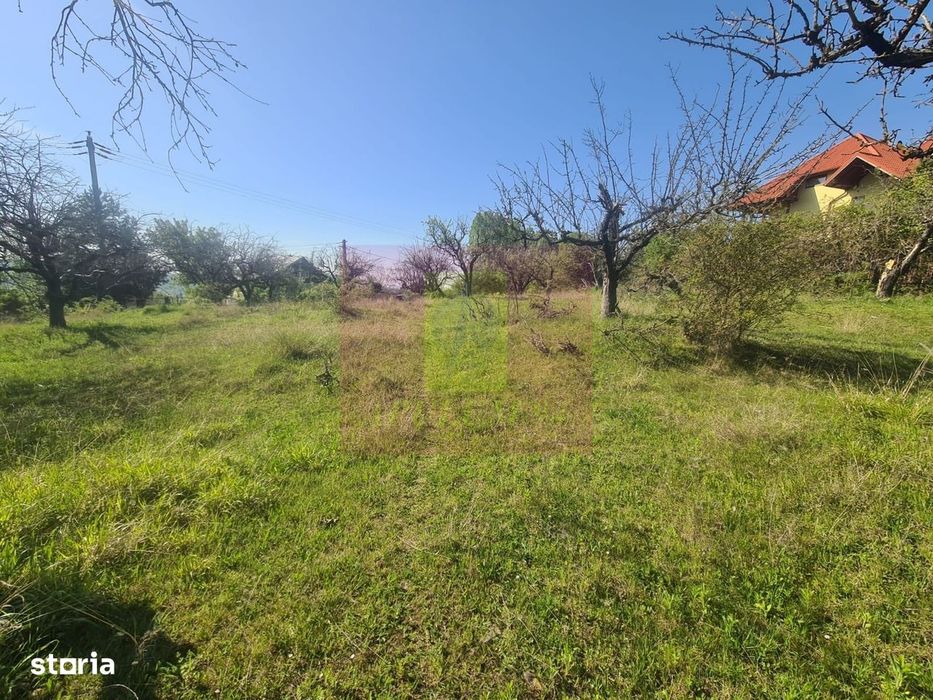 Teren de vanzare in Campina