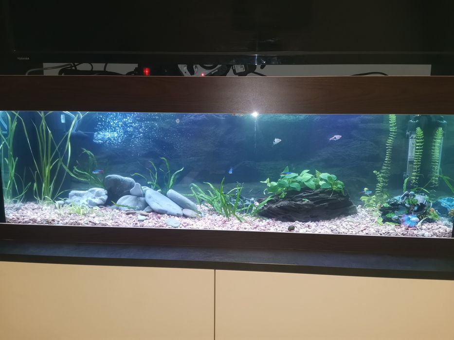 Аквариум 100литра +