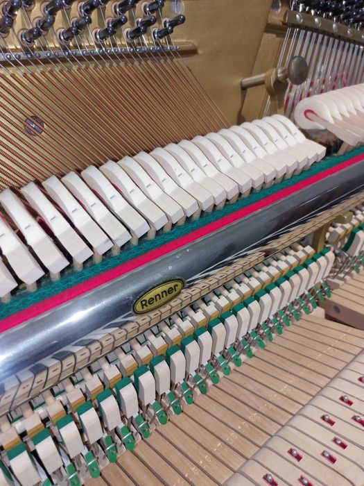 Pianina Rippen (transport gratuit, garanție)