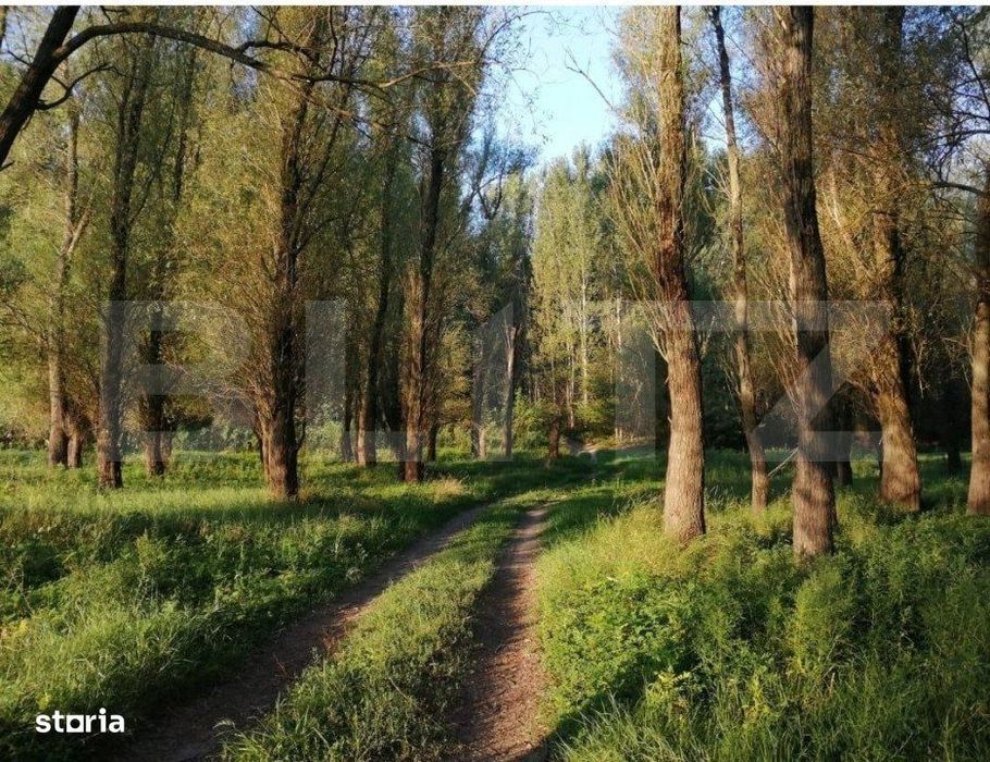 Teren, 120000mp, Insula Calinovat, Moldova Noua