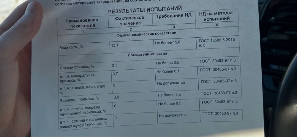 Чечевица зеленая тарелочная