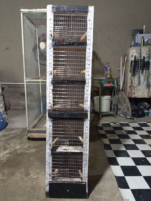 Кафас сайратма канарейкага сотилади 150 минг