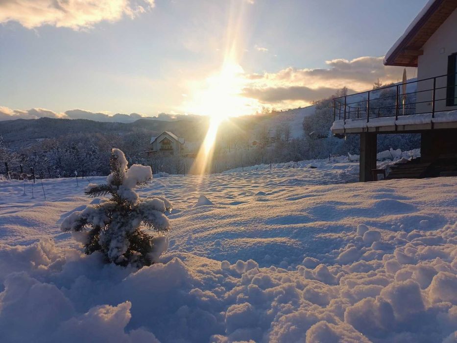 De vanzare Casa noua (2022) cu 3100 mp teren,