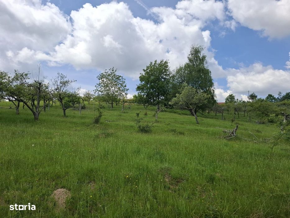Teren intravilan,  cu utilitati aproape, Cisnadioara - Sibiu