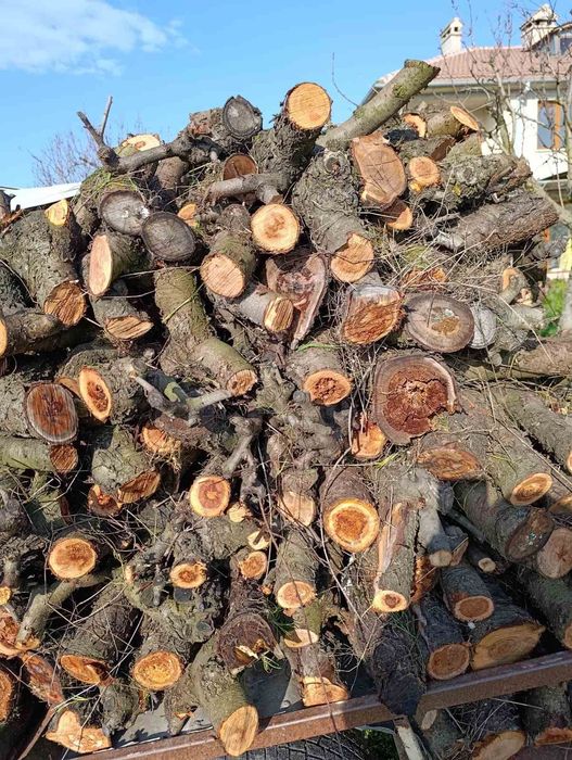 Дърва за огрев калорични