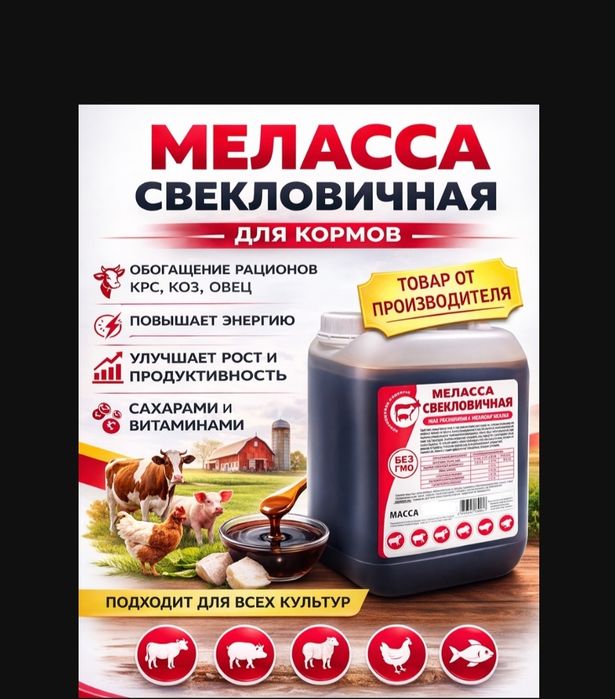 Melassa optom 4000 сум