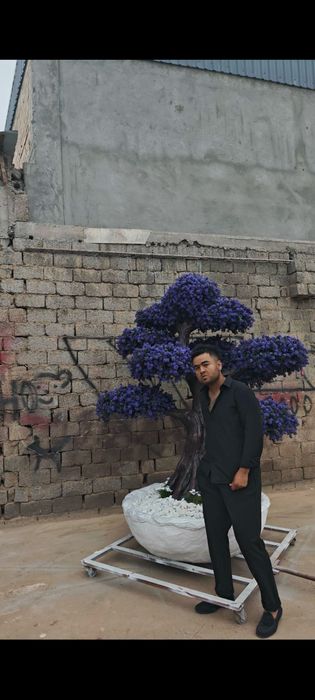 Daraxtlar yasab beramiz