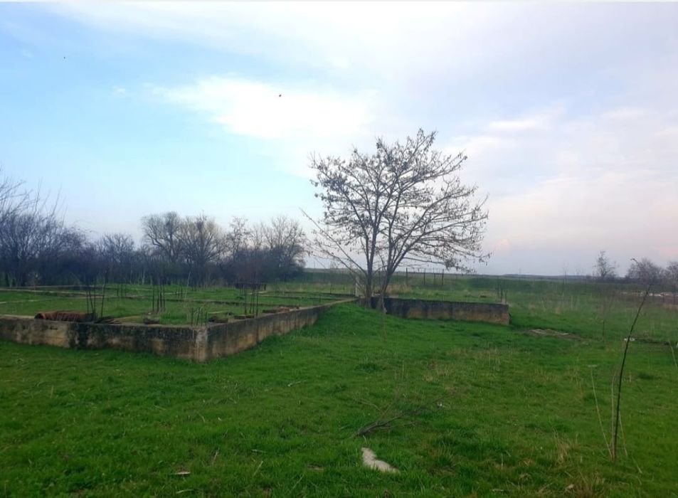 Vând casa în Nadab