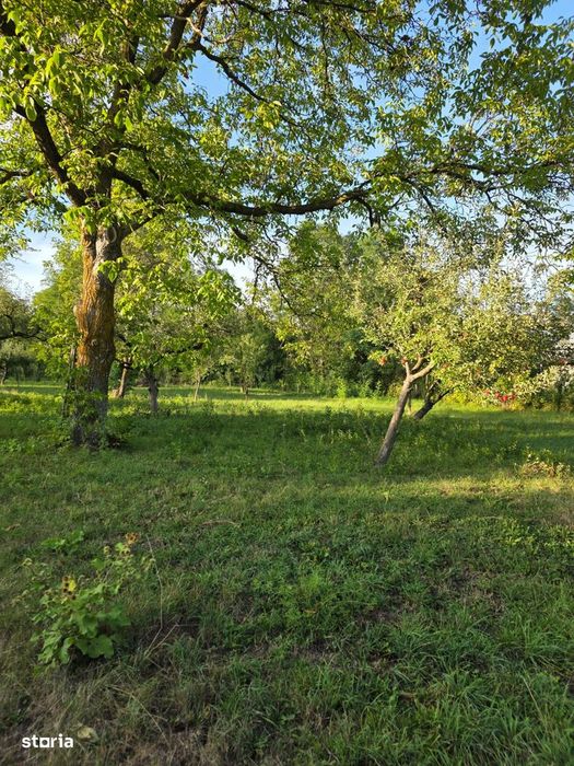 Teren 2500 Mp – Potențial Business / Dezvoltare – Breaza