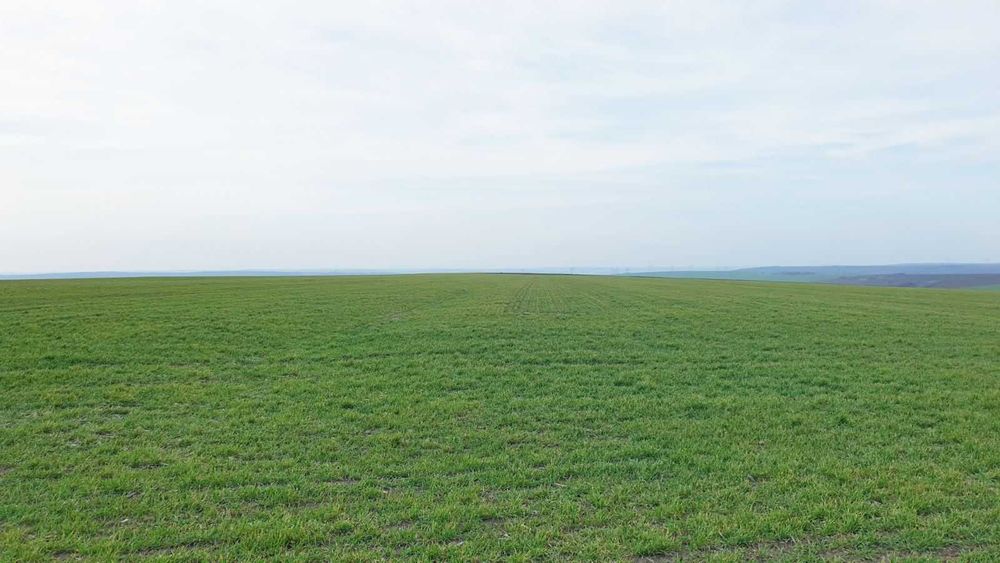 Продава се Земеделски имот в София, Люлин 1 -  кв.м за 509 €/дка - Снимка #4