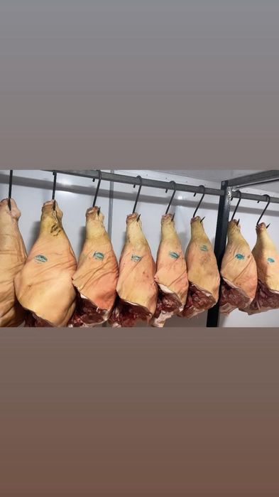 Продам мясо свинины