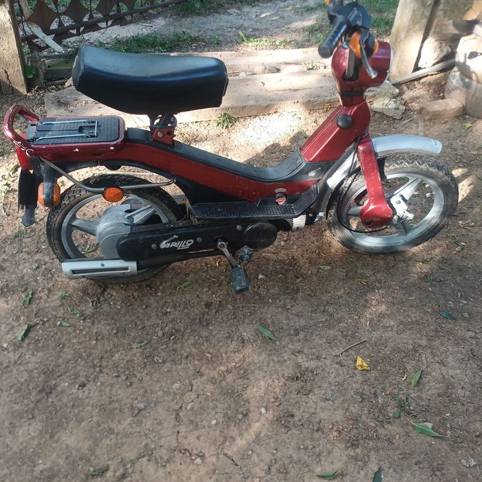 Vand  moped PIAGGIO  GRILLO , 49 cc ,  recent aduse din
