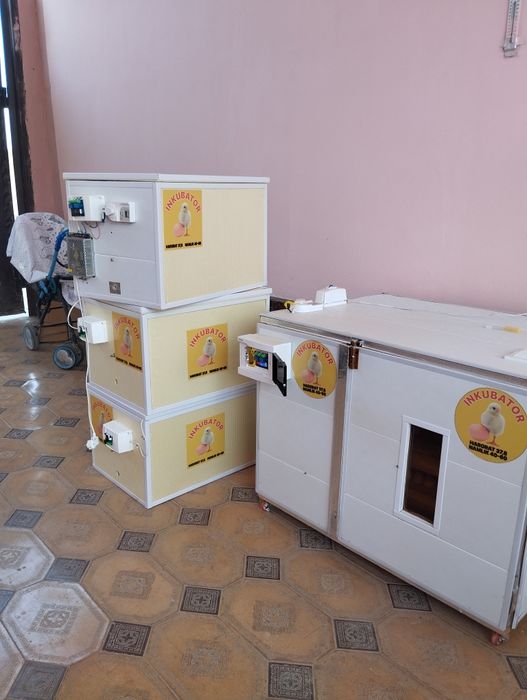 Инкватор 88 талик