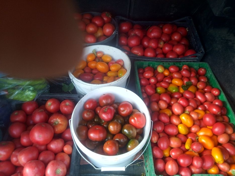 Пашем дачу, огород. Услуги мотоблока, культиватора.