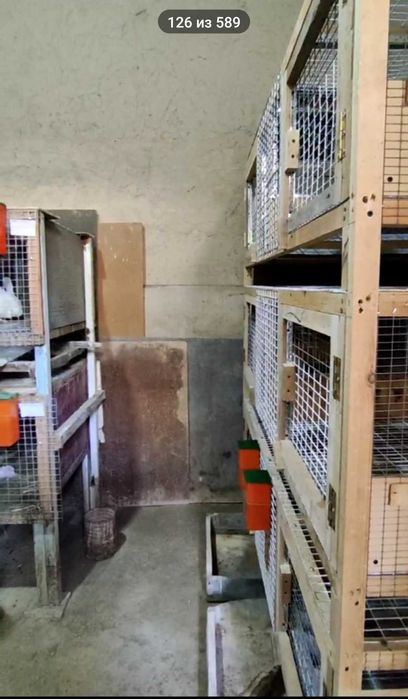 Продаюся клетки для кроликов и стол в прекрасном состоянии