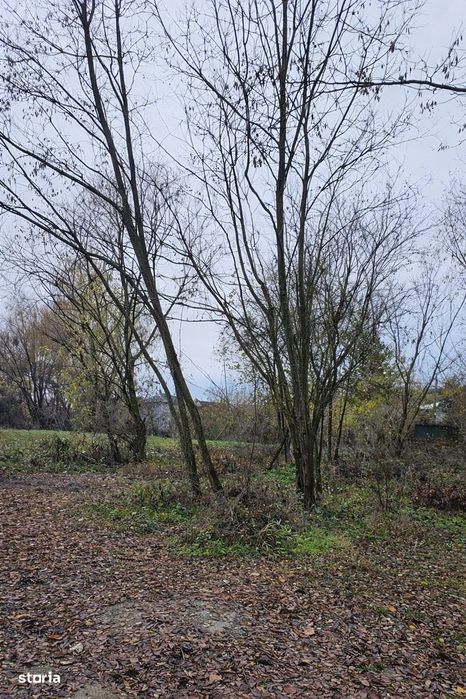 Viforata Dâmbovița,  vânzare  teren intravilan