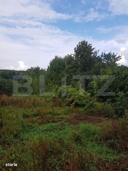 Teren 2.500 mp, Șos. Barnova, la 1 km de Șos. Bucium