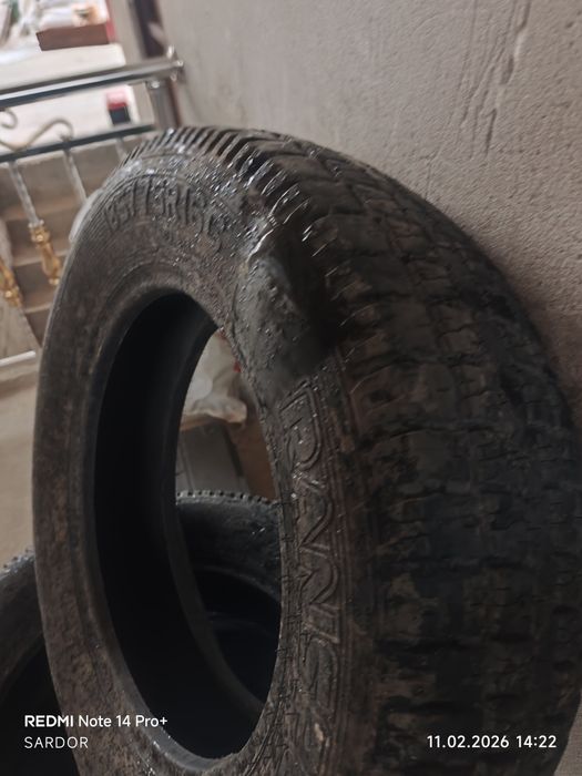 Газел Нивага Балонла 4 дона 16сечка