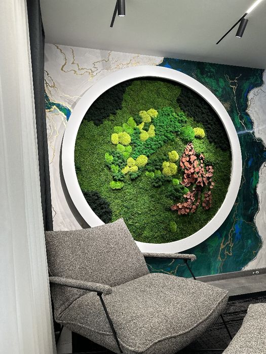 Стабилизированный Мох Фитостены Растения