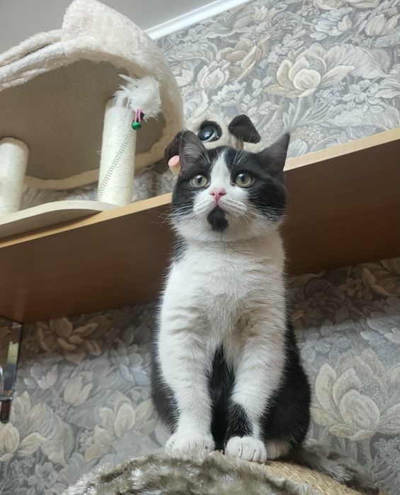 Малышка ищет дом и любящую семью