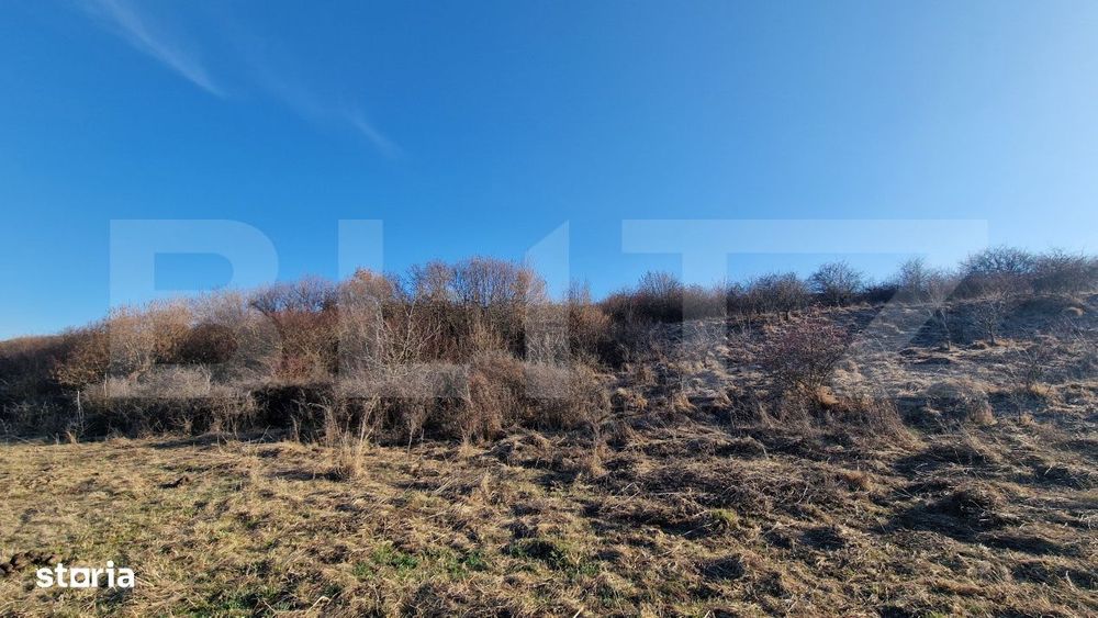 Teren extravilan, 5600mp, ideal investitie de viitor, zona Vidului, Fl