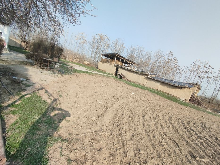 Tezda uy sotiladi: Qulay joylashuv, katta yer maydoni.