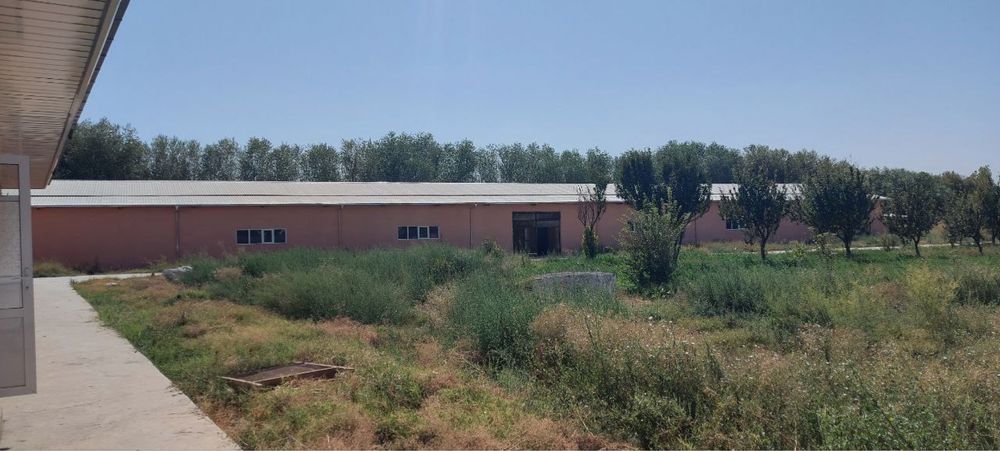 Ishlab chiqarish bino