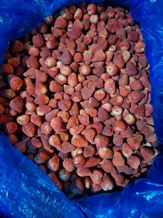 Сублимированные фрукты сублимированные мороженое оптом от 8800 за 1кг