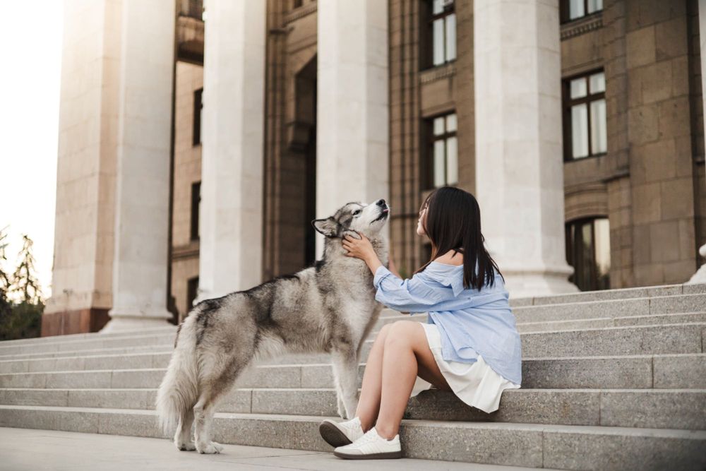 фотосессия с волком