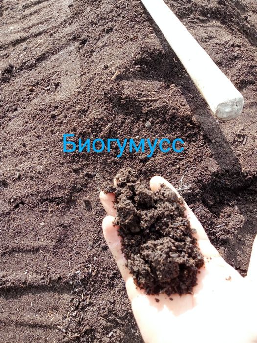 Доставка Навоз,биогумус,чернозем.Цены разные.