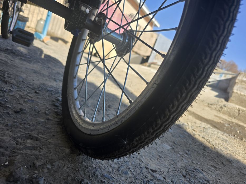 В.            елик