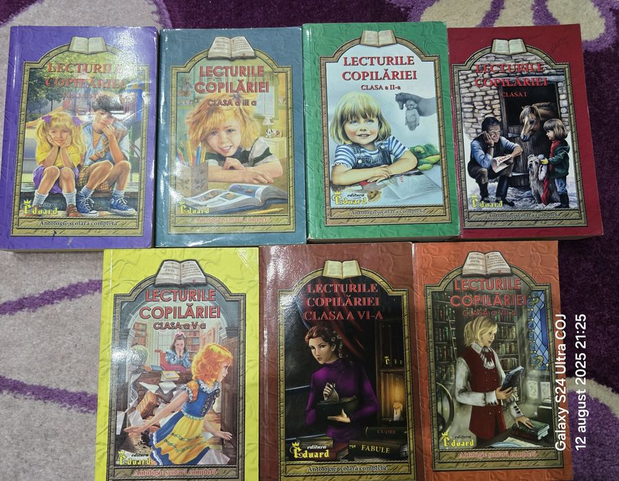 Dictionare sinonime, paronime, omonime