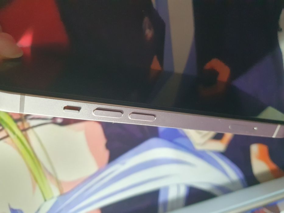 заблокирован iPhone 13/128/100