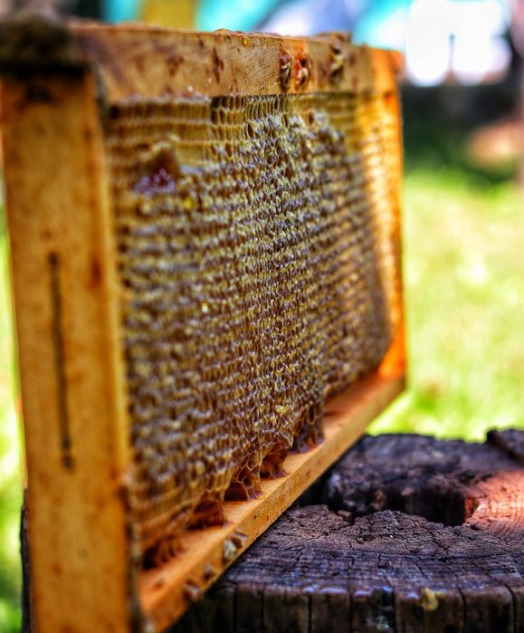 Продавам Пчелен  мед