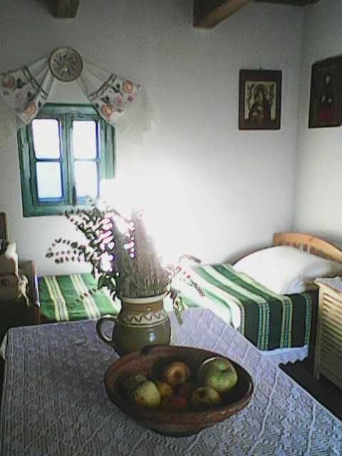 Vând casă lemn tradițională.