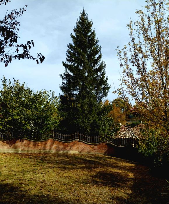 Дава се под наем Къща в Аксаково - 405 кв.м за 943.5 € - Снимка #1