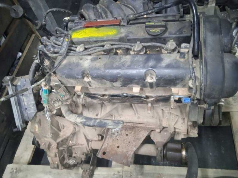 Двигатель Ford Focus 1.6 SHDA